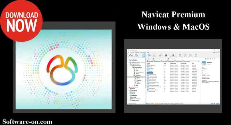 Navicat Premium windows mac,Database Manager,database management system,sql server management,Navicat Premium